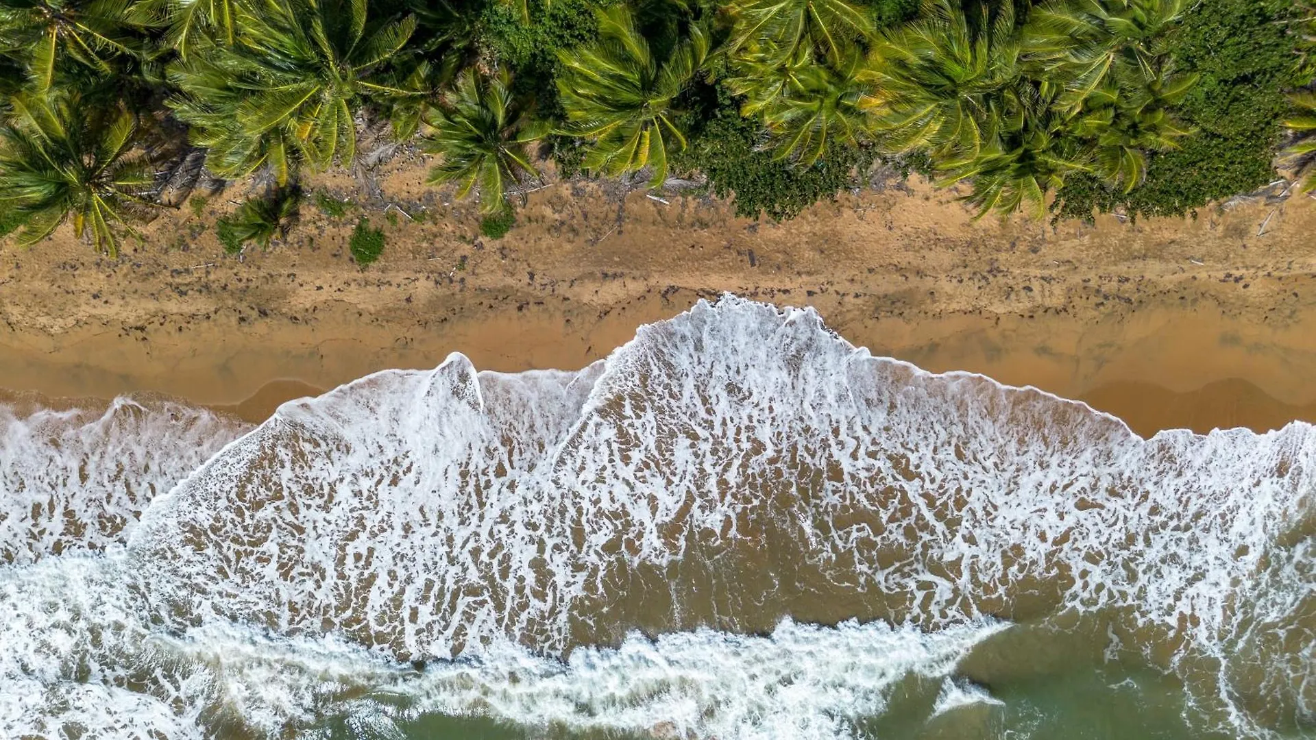 Tropical Villa Ocean View Maunabo
